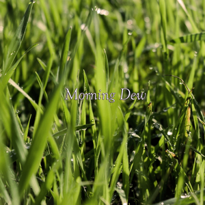 Indigo Kids (Original Mix)