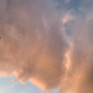 lonely（prod by Chunli128）