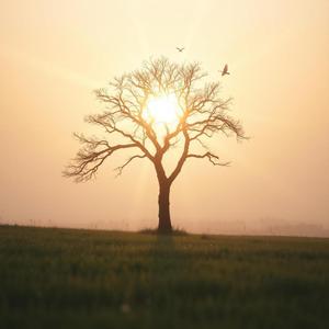 Ingalill (En världsunik mor)