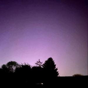 Please... Leave me Alone