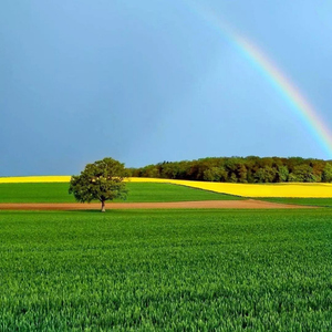 后来再没见过那么美的日落.