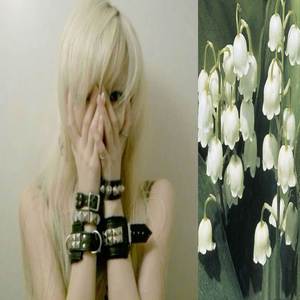 Oh Damn* Barras e Sapecagens