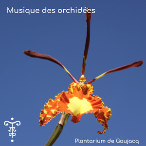 Psychopsis manposa