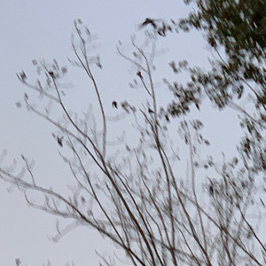 我们的感情只是一个碰巧（2）