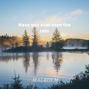 Have You Ever Seen The Rain