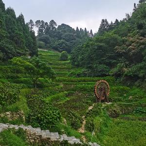 冬日絮语-第三段