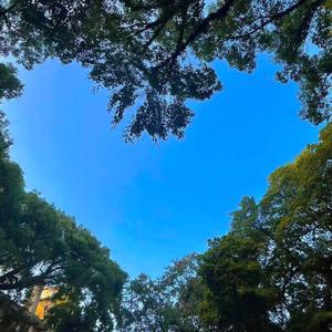 你的名字 是我听过最短的情诗