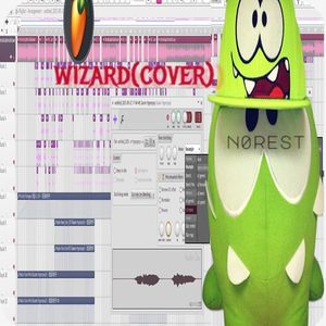 wizard(cover)