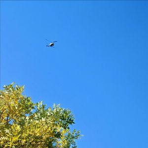 (Free关注获取)Dance floor 爵士感boombap