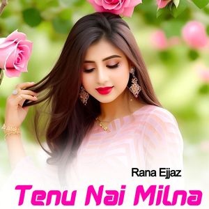 Tenu Nai Milna