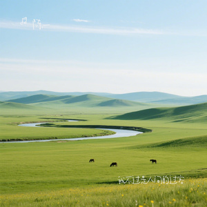 我不过是人间的过客