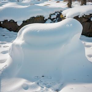 重题郑氏东亭在新安界