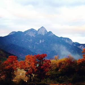 再见了大别山-竹笛