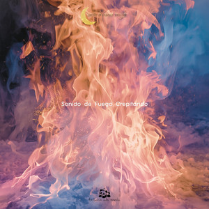 Mejor Ruido de Chimenea Relajante Part.1