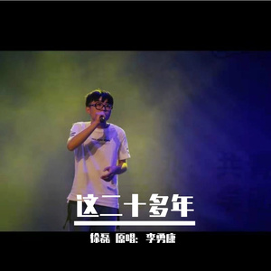 这二十多年