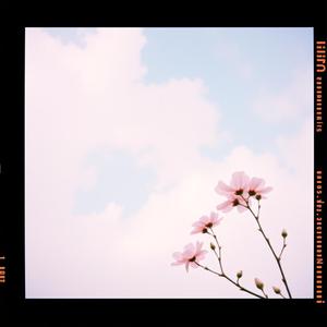 흐린 날 (grey days) by Bitmoon