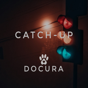 Catch-Up