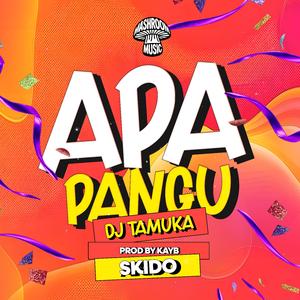 Apa Pangu (feat. Skido)