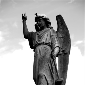 Fallen Angel