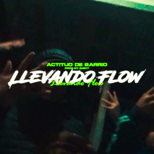 Llevando Flow