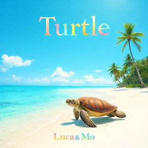 Turtle (Radio Edit)