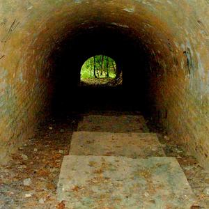 Prefiguration (Dusksong 1)