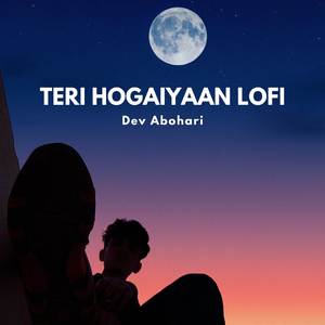 Teri Hogaiyaan - LoFi