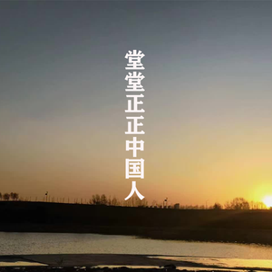 堂堂正正中国人