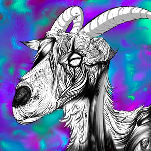 Leana Sidhe