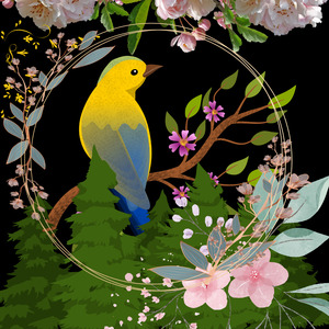 Burung Cucak Jenggot