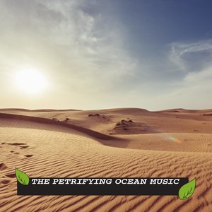 Hawk Enjoying the Drizzle