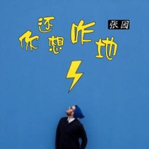 张园-你还想咋地_电摇版（DJheap九天(万旭) remix）