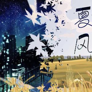 夏风（remix）