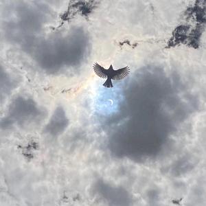 从别后（cover 流浪的蛙蛙）