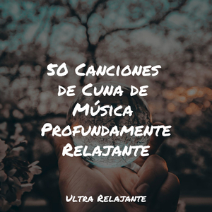 Perfección Después Del Anochecer