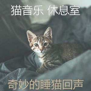 抚慰的睡猫回忆
