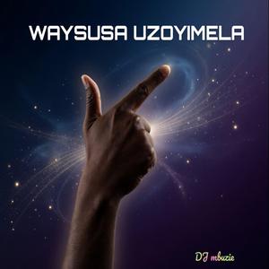 Waysusa Uzoyimela