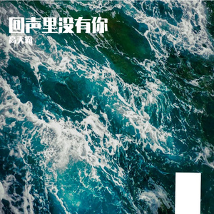 回声里没有你
