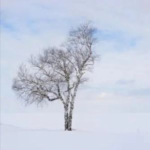 寒冷的冬季（prod by Lyoung）