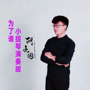 为了谁（小提琴演奏版）