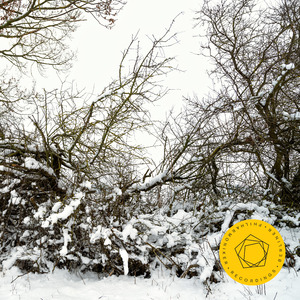 Concerto for Piano and Orchestra No. 2 in C minor, Op. 18: I. Moderato