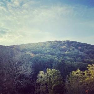 through my head (feat. GL0RY & Black Kray)