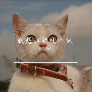 我想和你吃个饭-云墨MEeA