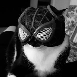 Anh đã nói lời chia tay