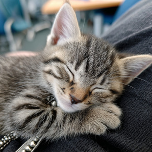 ママの抱っこが一番好き