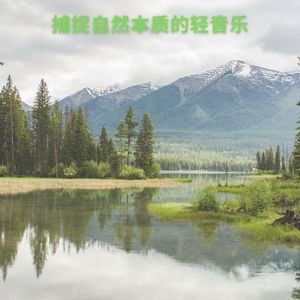 与自然的联系