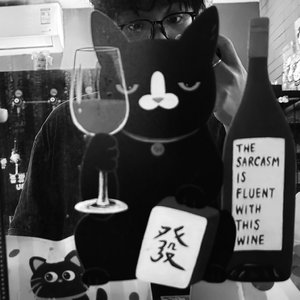 我们像候鸟 错过了季节