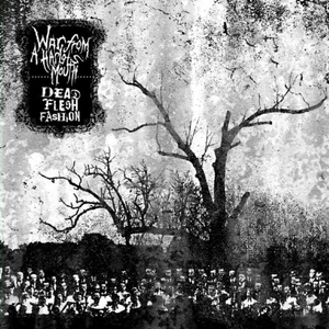 Of Needles And Helmets