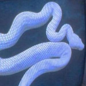 Waiting on My Diamond Day (Found Master) (feat. Meggo the Kidd)