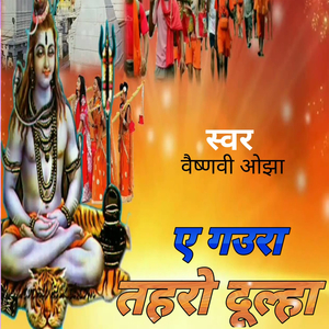 ऐ गउरा तहरो दूल्हा